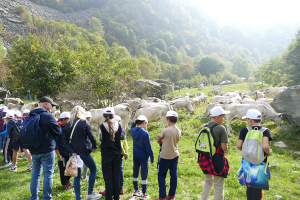 I bambini della Primaria di Roccaforte osservano curiosi le vacche