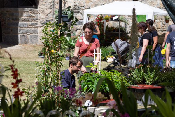 Piante e fiori protagonisti al Forte di Vinadio