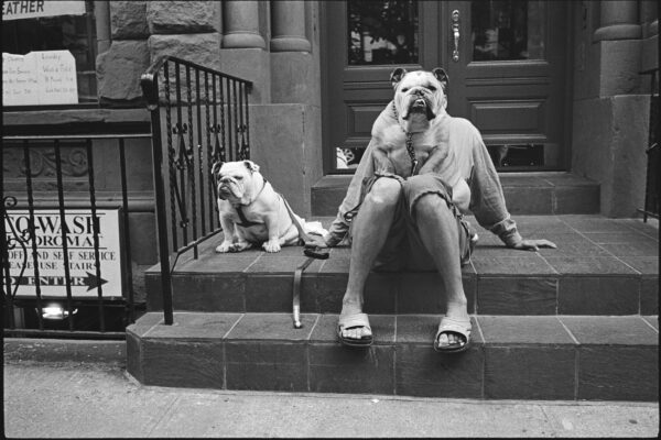 USA. New York City, 2000 - Elliott Erwitt 